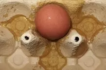 Festklebendes Ei aus Karton lösen