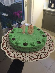 Schoko-Minz-Torte