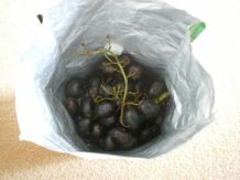 Tüten von ganzen Kaffeebohnen weiterverwenden