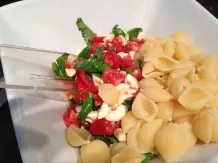Pasta Estiva: Tomaten-Mozzarella-Nudelsalat