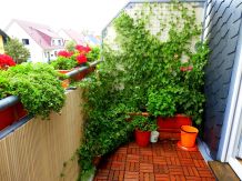 Heilkräuter auf dem Balkon pflanzen