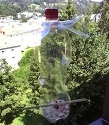Vogelfutterplatz aus PET Flasche herstellen
