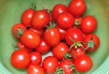 Schnelle Tomatensoße auf Vorrat kochen
