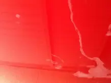 Vogelkot auf Autolack eingebrannt