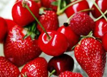 Fruchtfliegen lebend fangen