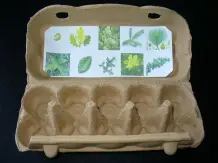 Kinder lernen spielerisch die Natur kennen