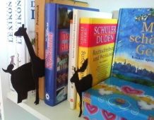 Bücherregal dekorieren