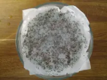 Chia-Samen keimen lassen