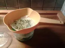 Chia-Samen keimen lassen