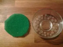 Chia-Samen keimen lassen