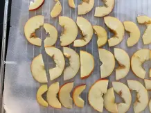 Apfelchips und Apfelringe selber machen - Äpfel verwerten