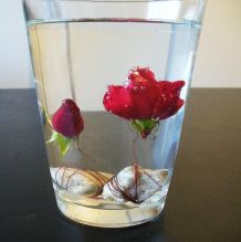 Tischdeko mit Unterwasserrose