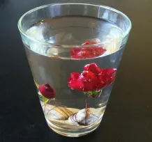 Tischdeko mit Unterwasserrose