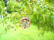 Wildbienen- und Insektenhotel selber bauen