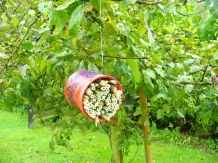 Wildbienen- und Insektenhotel selber bauen