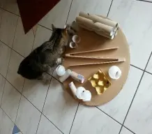Motivationsspielzeug für Katzen selber machen