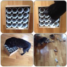 Motivationsspielzeug für Katzen selber machen