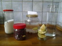 Limonade mit Wasserkefir selber machen