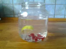 Limonade mit Wasserkefir selber machen
