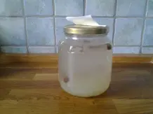Limonade mit Wasserkefir selber machen