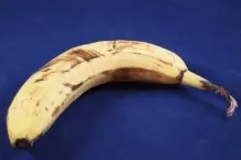 Sehr reife Bananen für Hundekekse