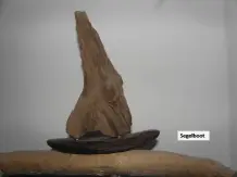 Urlaubsfundstücke als kleines Kunstwerk
