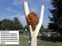 Urlaubsfundstücke als kleines Kunstwerk