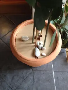 Katze verwendet Blumentopf als Katzenklo?
