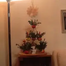 Alternative zum Weihnachtsbaum