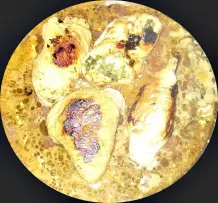 Putenröllchen mit Rucolafüllung zu Gemüsereis