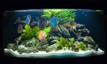 Hartnäckige Kalkflecken am Aquarium entfernen