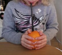 Apfelsine trinken