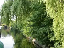 Geschenk für Senioren: Tour durch die eigene Stadt