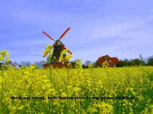 Fotos von eurer Stadt - mal anders