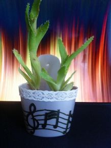 Blumenbehälter zum Aufhängen
