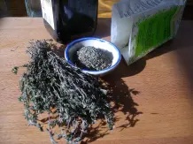 Thymian - Gewürz und Heilkraut