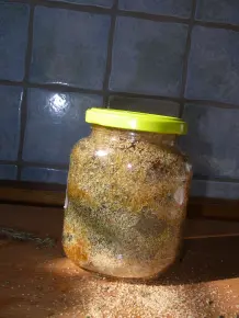 Thymian - Gewürz und Heilkraut