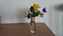 Glasflaschen Duftzerstäuber als Blumenvase nutzen