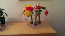 Glasflaschen Duftzerstäuber als Blumenvase nutzen
