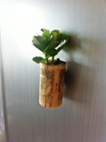 Tolle Kühlschrankmagneten