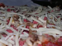 Pizzabelag: geriebene scharfe Knoblauchsalami (SUCUK)