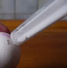 Eier mit der Einwegspritze aussaugen statt ausblasen