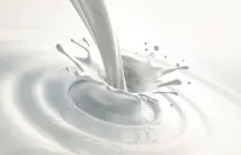 Süße Buttermilchsuppe