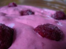 Himbeereis - vegan