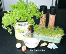 Laktosefreien Kefir herstellen: Mit Sojamilch