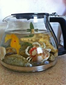 Küchendeko - Kaffeekannen Aquarium