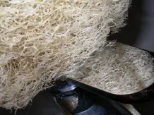 Luffagurke - Schwammgurke