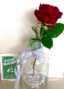 Schnittblumen halten länger frisch