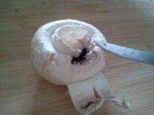 Champignons schnell und trocken putzen