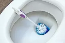 WC-Bürste sauber halten und reinigen